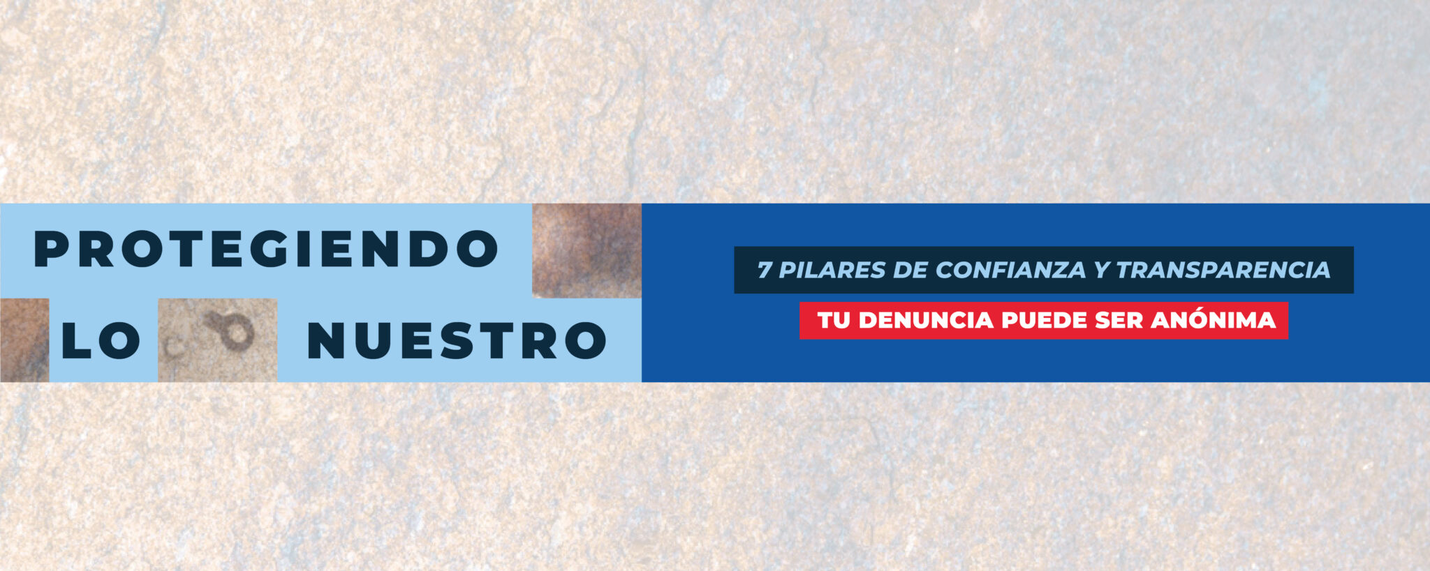 Banner Protegiendo Lo Nuestro (Adaptado)